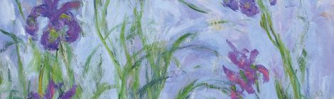 "L'iris di Monet" di Nicola Nucci