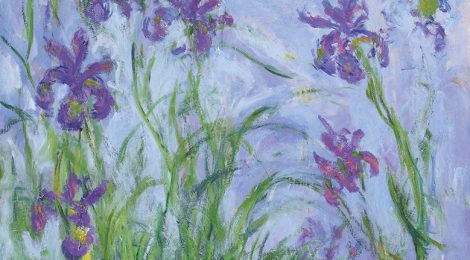 "L'iris di Monet" di Nicola Nucci