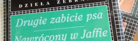 Le maschere del male: in due romanzi brevi dello scrittore polacco Marek Hłasko