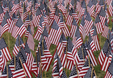 Vincenzo Trama - Tra le rovine dell'impero - di Renzo Sabatini