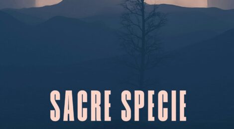 Vincenzo Trama - Sacre specie animali di Angelo Airò Farulla